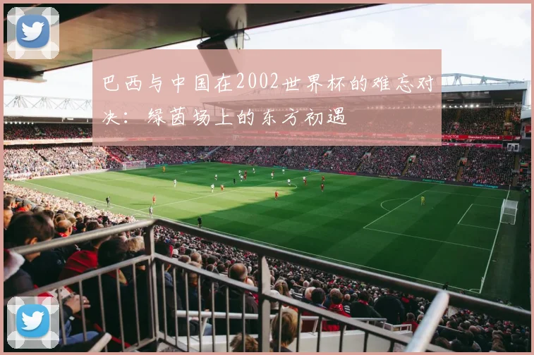 巴西与中国在2002世界杯的难忘对决：绿茵场上的东方初遇