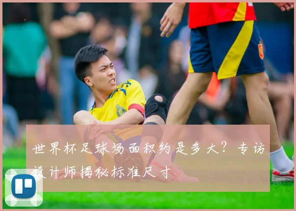世界杯足球场面积约是多大？专访设计师揭秘标准尺寸