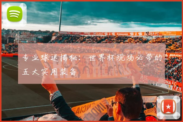 专业球迷揭秘：世界杯现场必带的五大实用装备